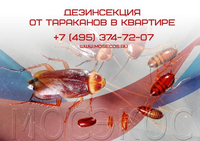 Дезинсекция от тараканов в квартире в Зарайске